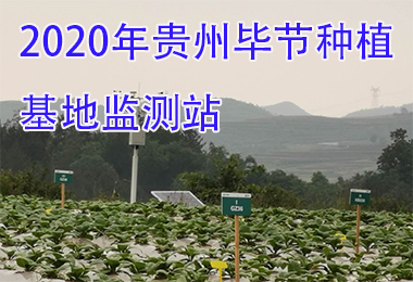 2020年贵州毕节种植基地监测站