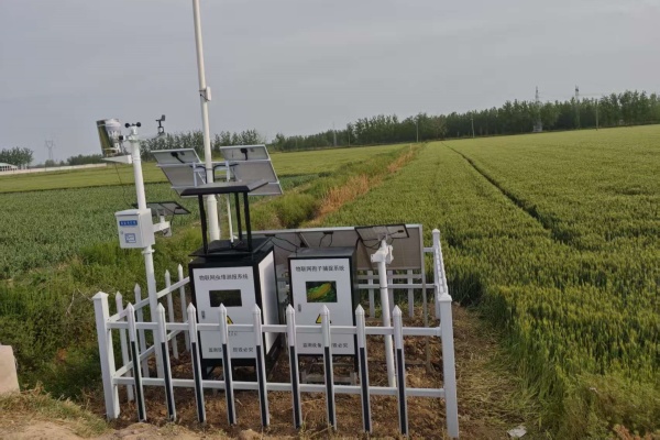 MC-CQCB-II型物联网智能虫情 MC-CQCB-II型物联网智能虫情